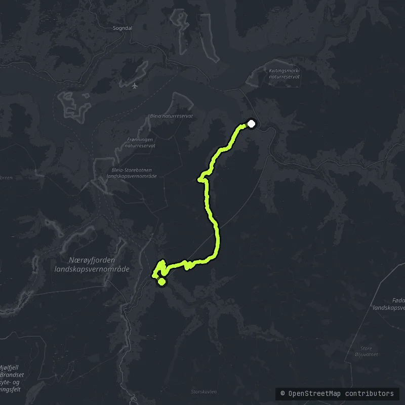 Aurlandsfjellet - The Snow Road map