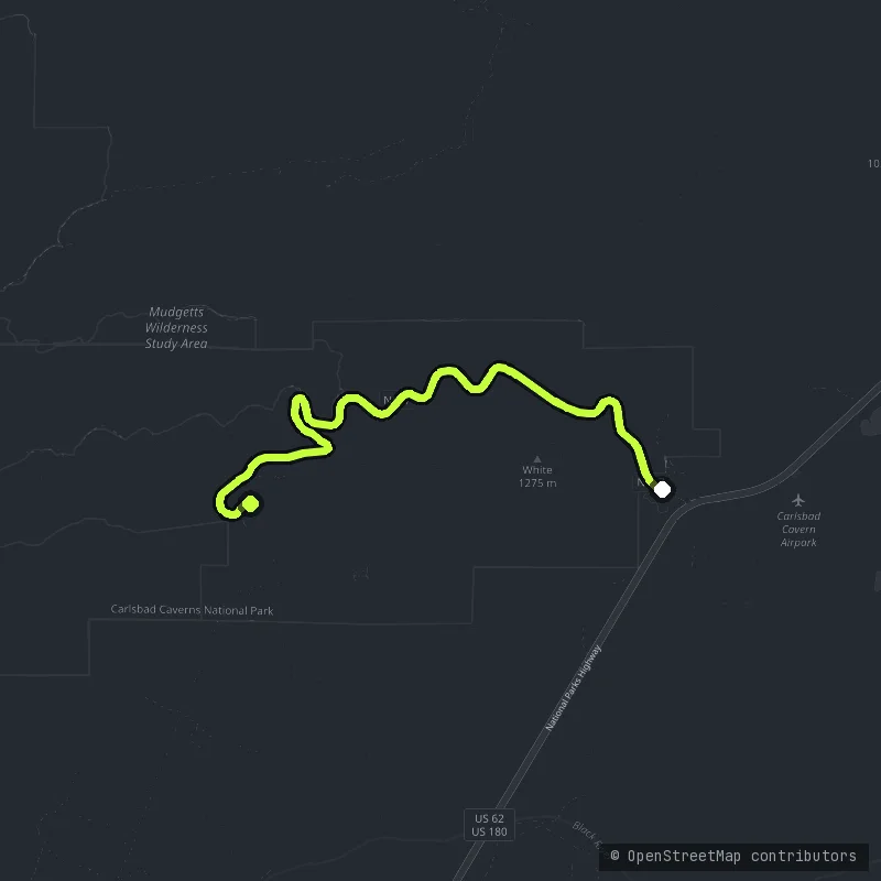 The Carlsbad Caverns Highway map