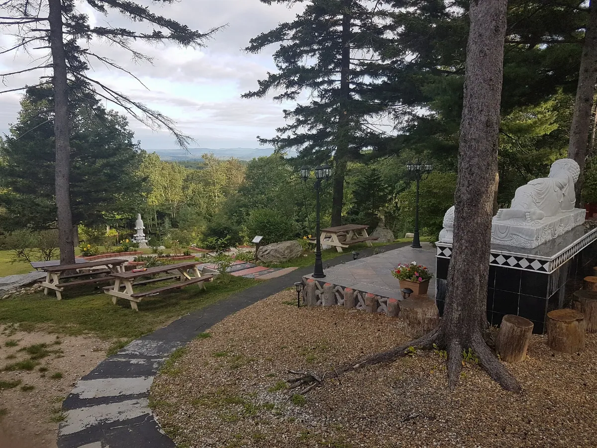 From the Buddha's corner looking out