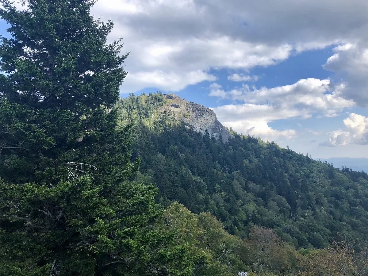 Devil's Courthouse, Balsam Grove, NC (49112197348)