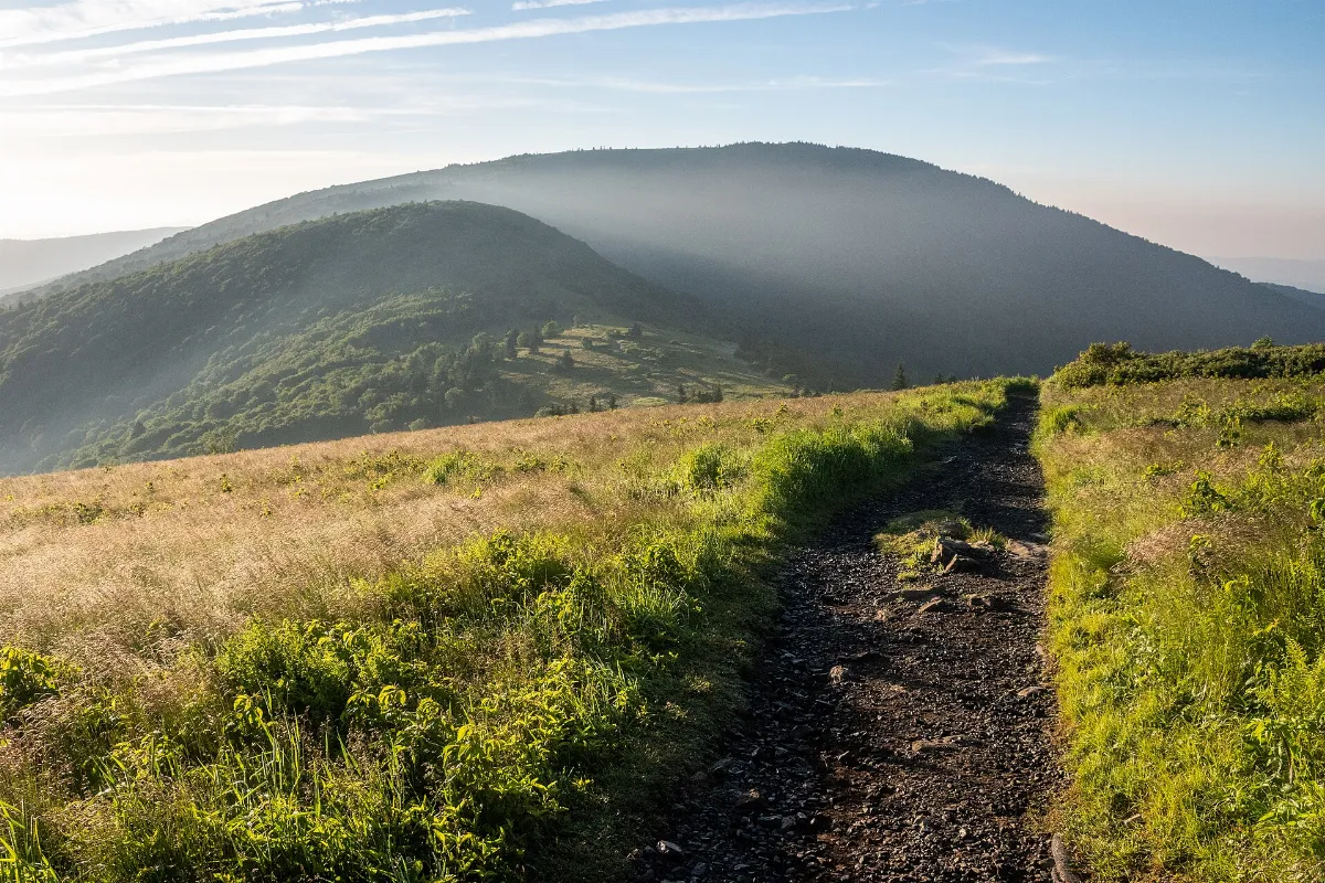 Grassy Ridge Bald