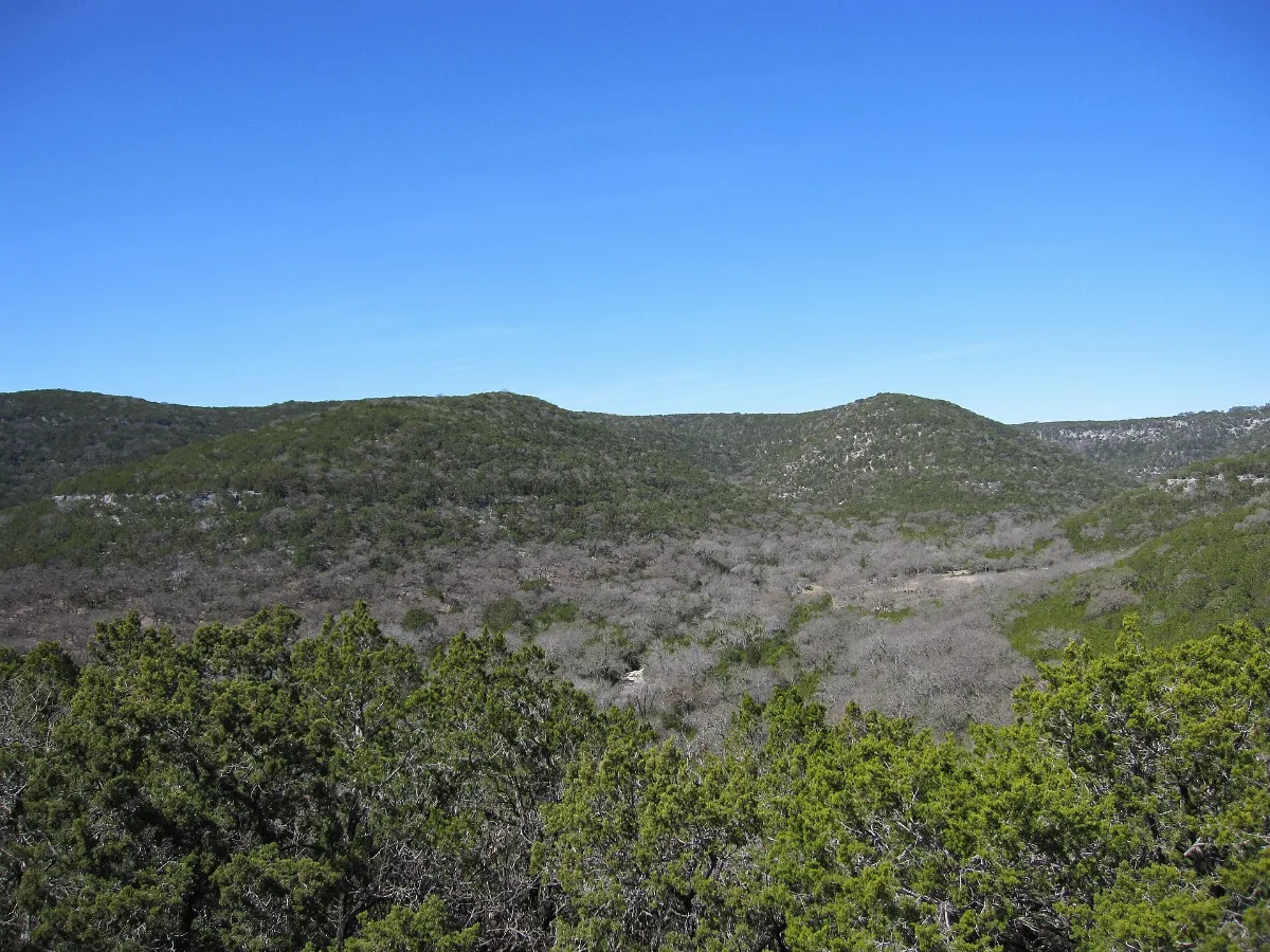 Patterson Valley (4439122264)