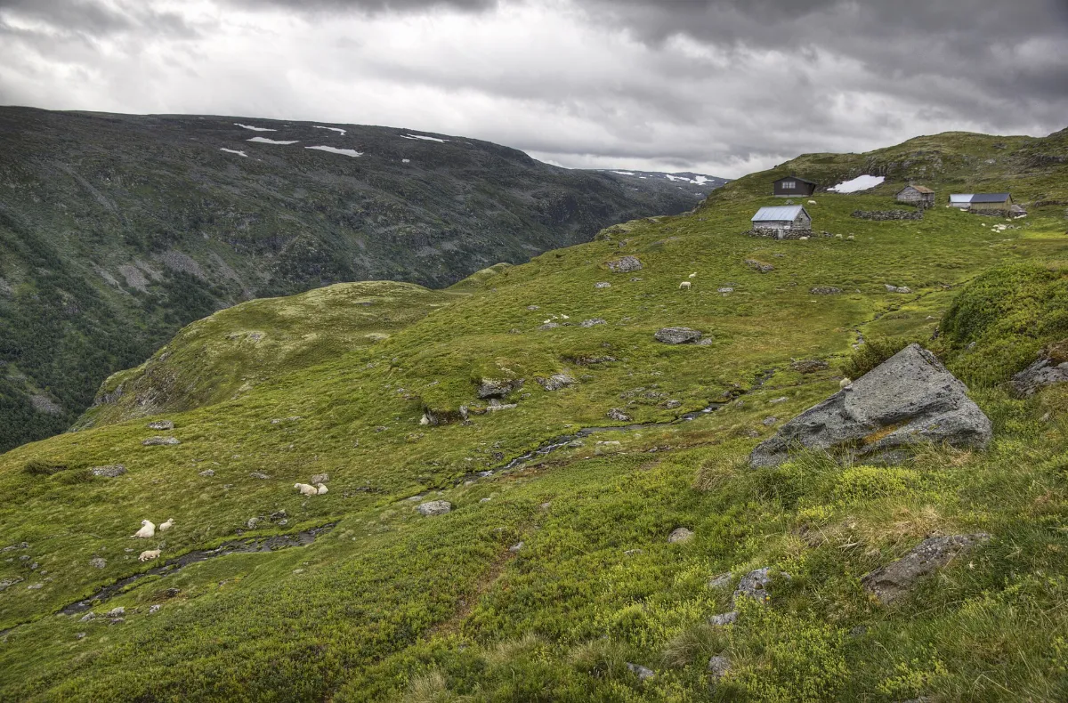 Aurland mountain - panoramio