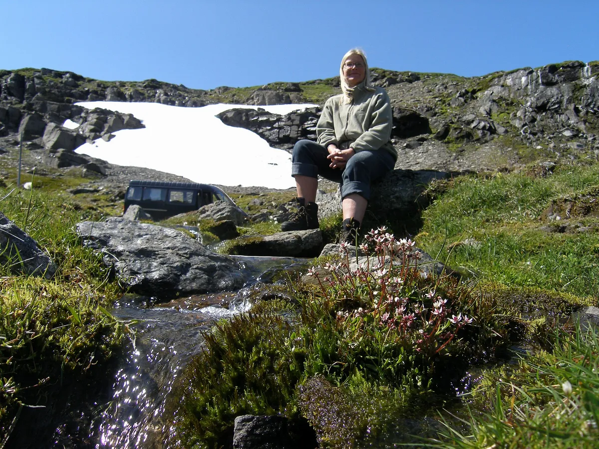Lærdal sommervejen - panoramio