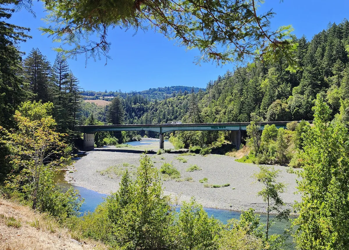 Avenue of the Giants
