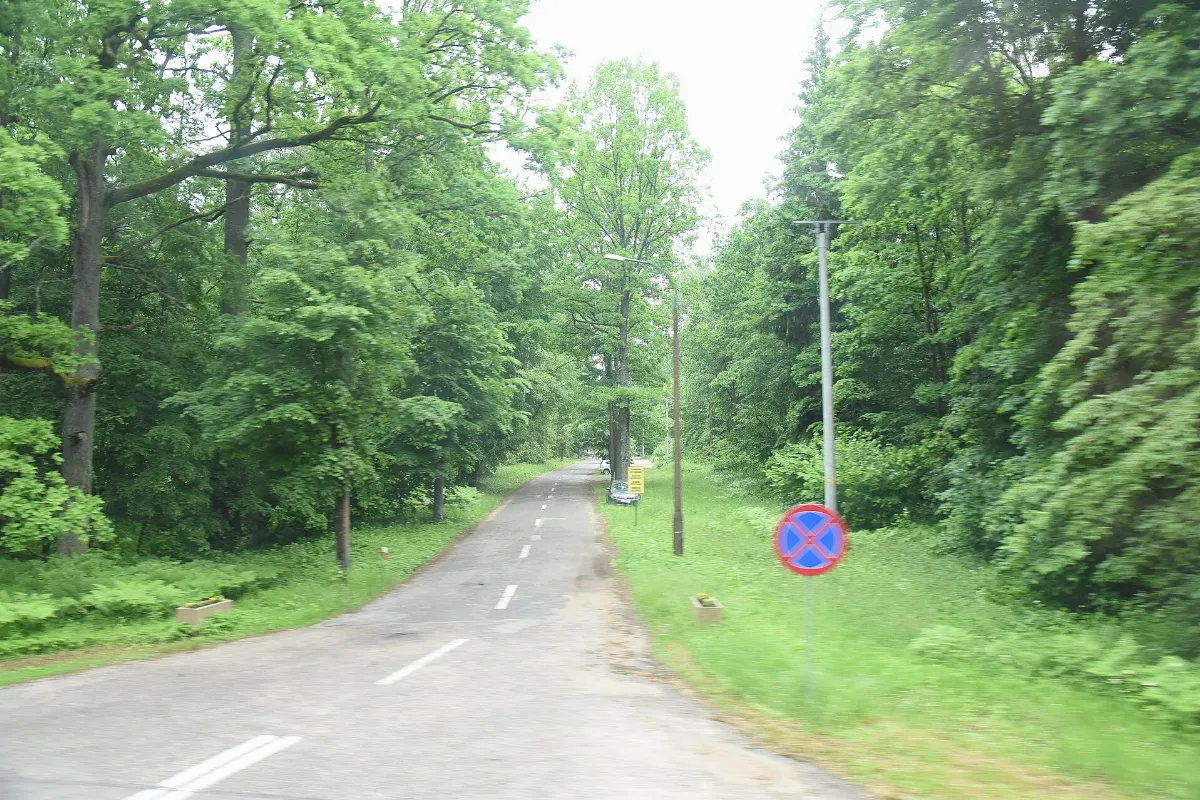 7285 June 2021 in Białowieża Forest