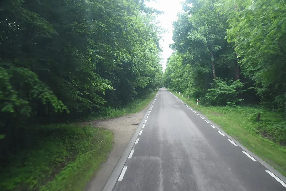 7282 Hajnówka - Białowieża road