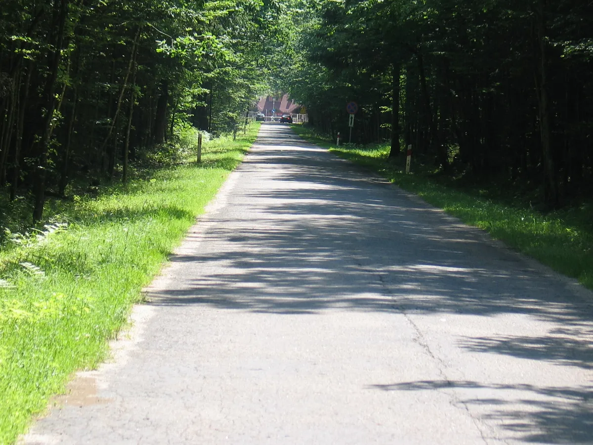 Voivodeship road 689 near the border
