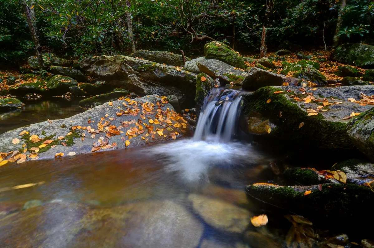 Blue Ridge Parkway Waterfall
