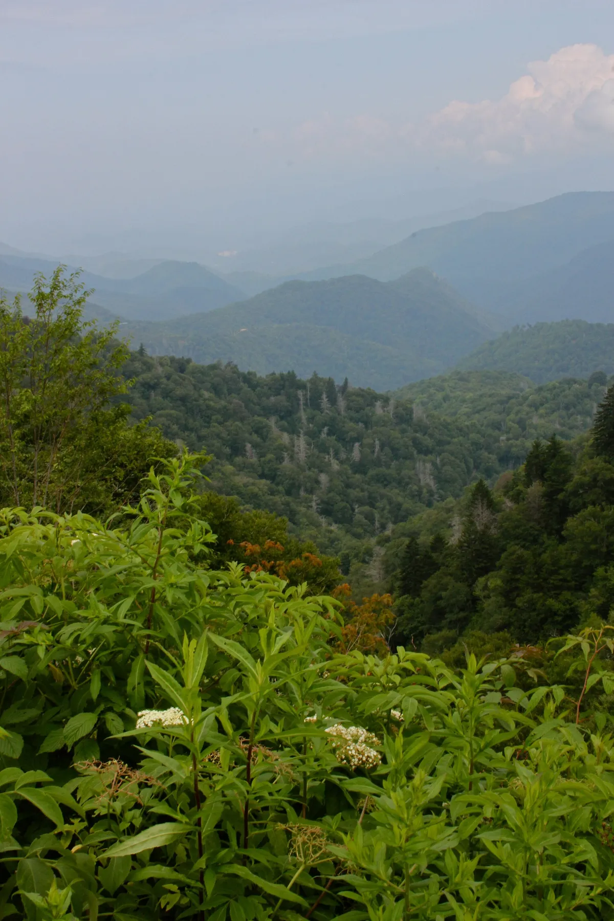Blue Ridge Parkway - panoramio (2)