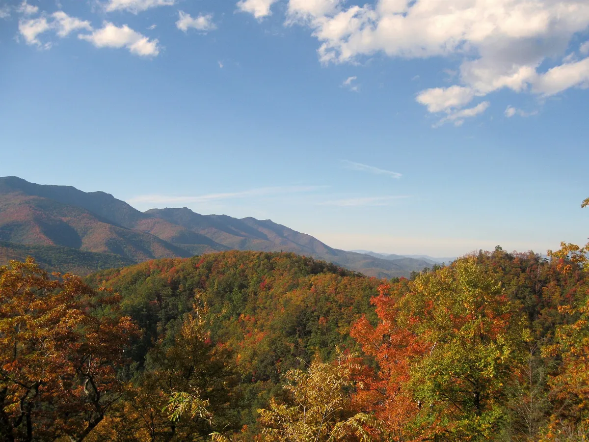 From the Blue Ridge Parkway, looking up to the Black Mountains - panoramio