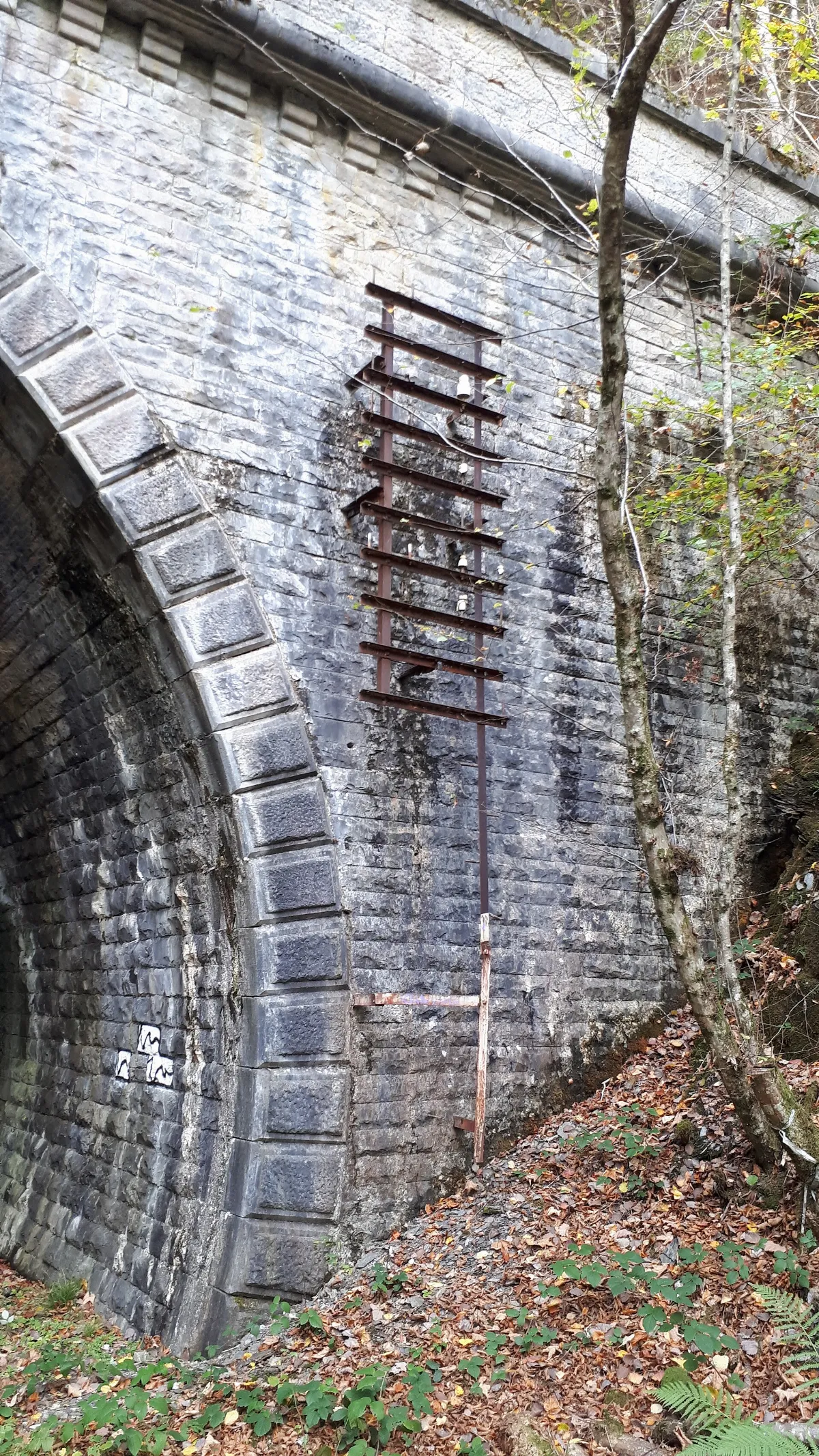 Vieux tunnel de Linglé coté sud
