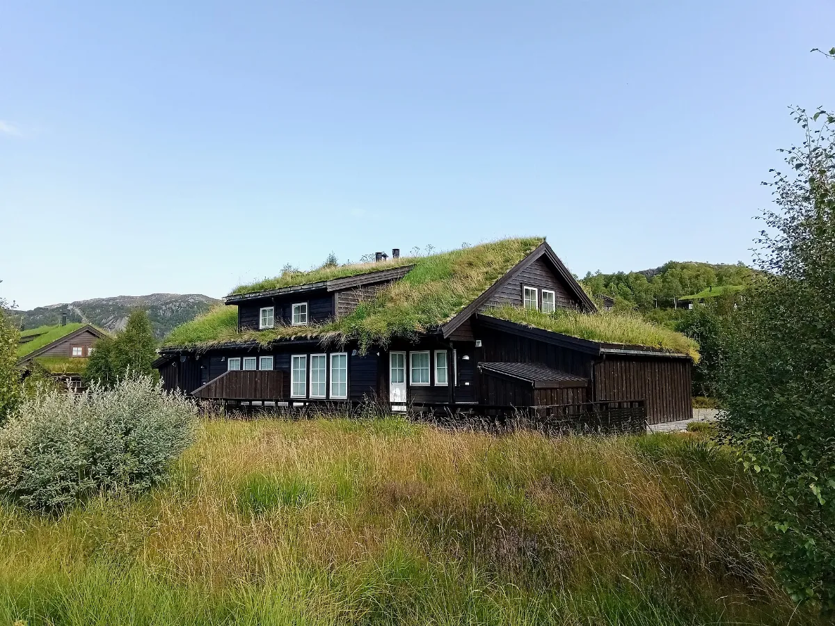 Sod roof house @ Suleskard