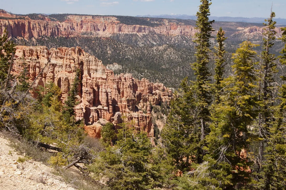 Bryce Canyon Scenic Drive
