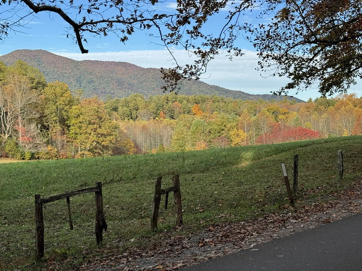 Cades Cove Loop Road - October 2023 - Sarah Stierch