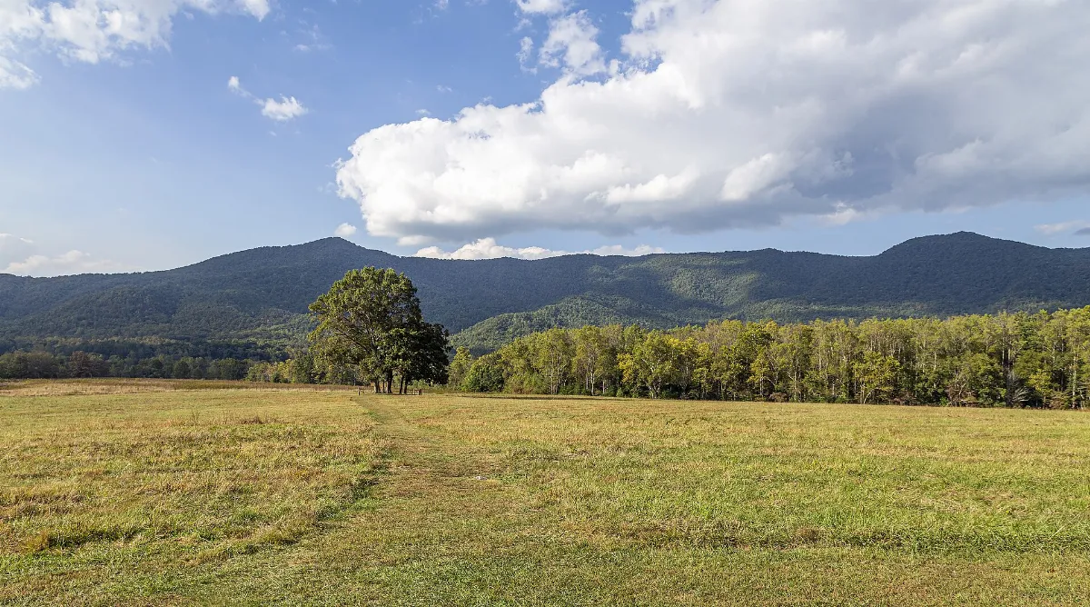 Cades Cove GSMNP TN2