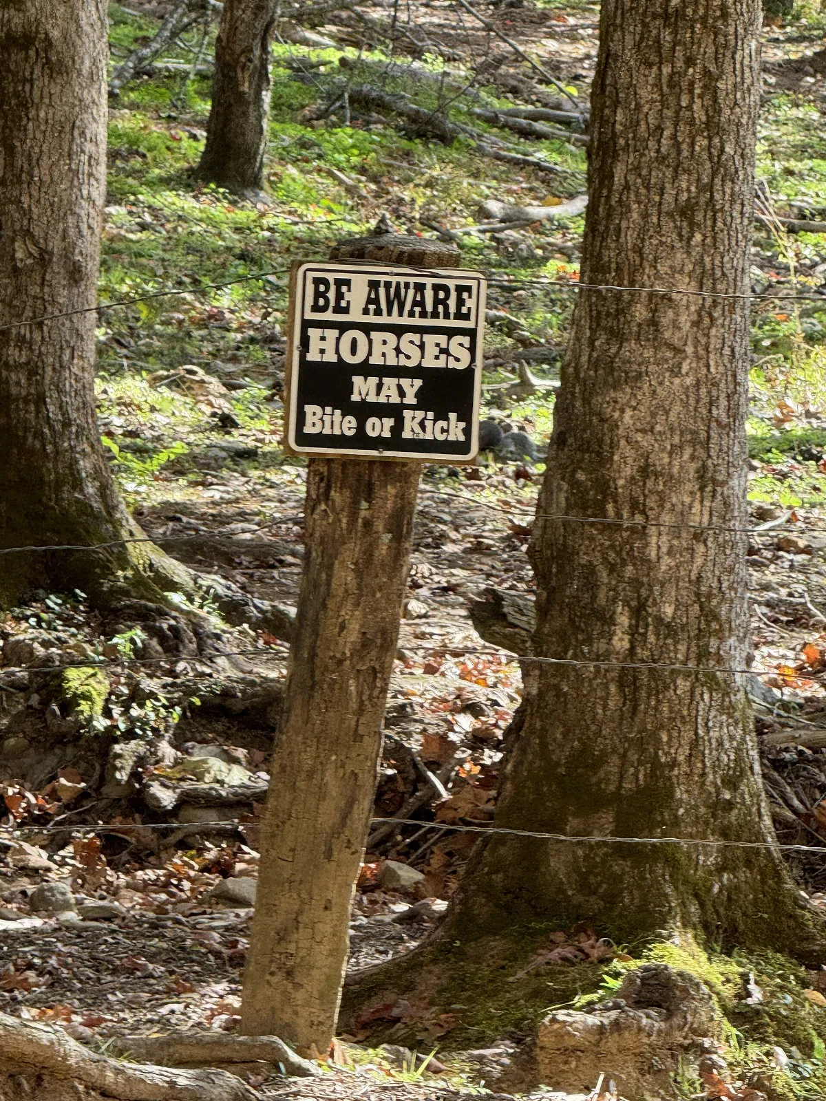 Cades Cove - October 2023 - Sarah Stierch 10