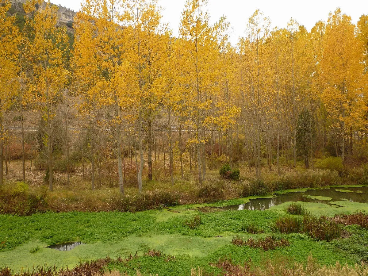 Ucero, 42317, Soria, Spain - panoramio