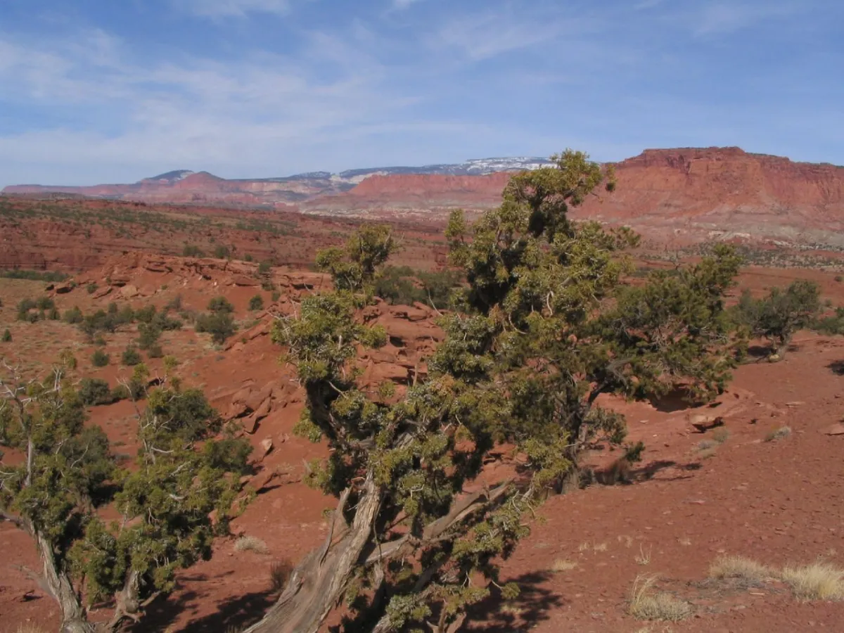 Panorama Point, Capitol Reef National Park, Utah (118898266)