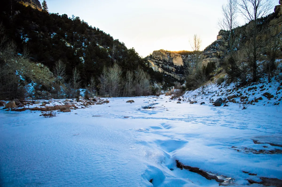 Cedar Canyon