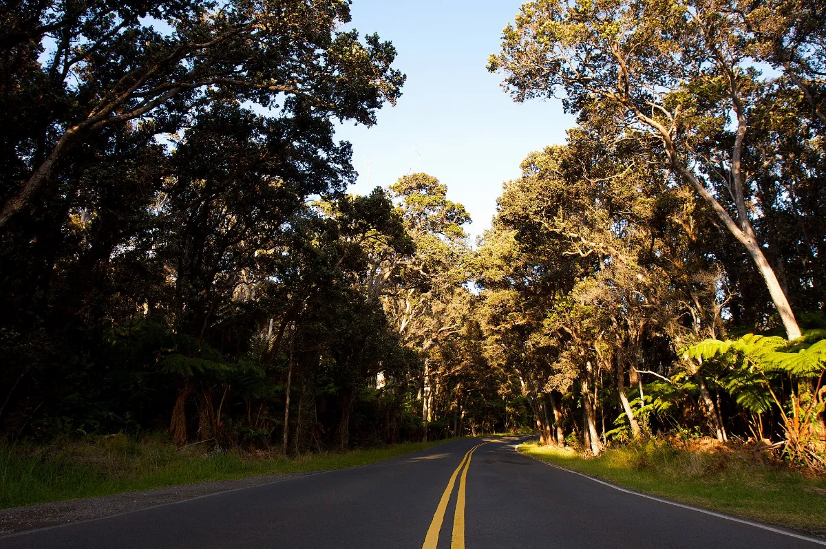 Chain of Craters Road 57