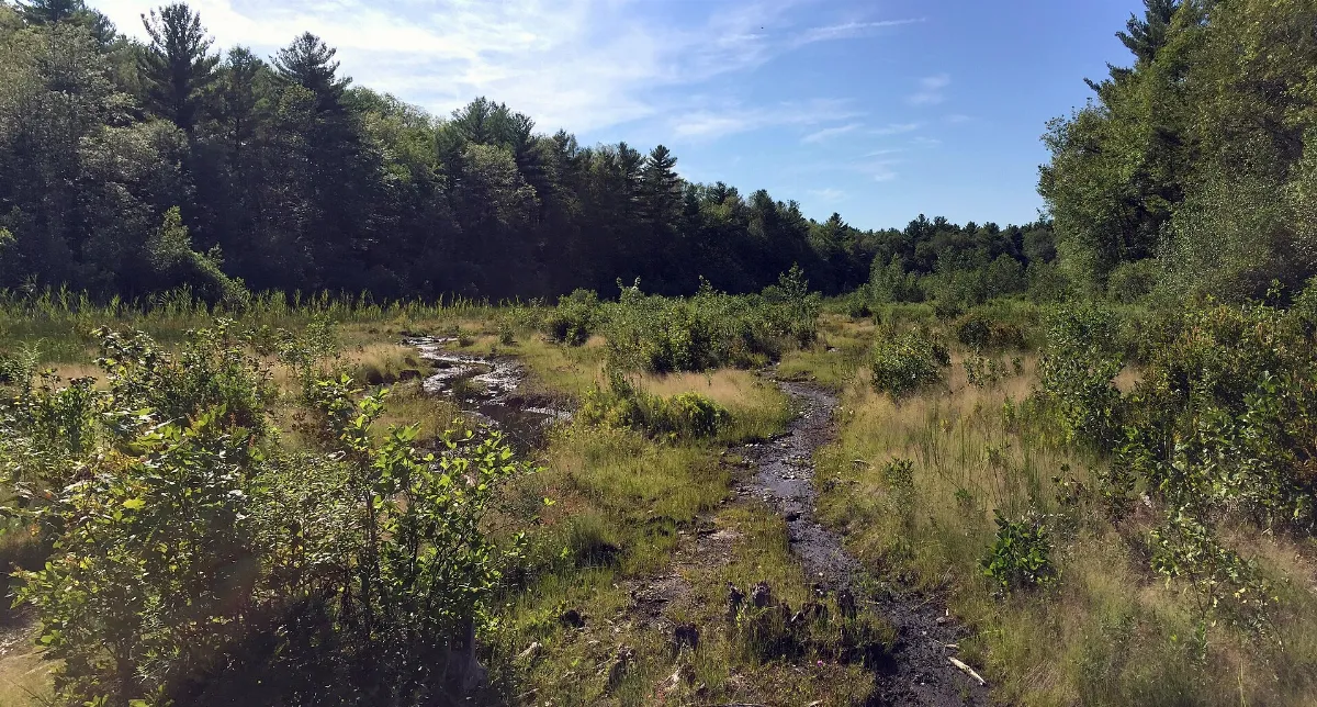 New Pond, Glocester, RI (31790953030)
