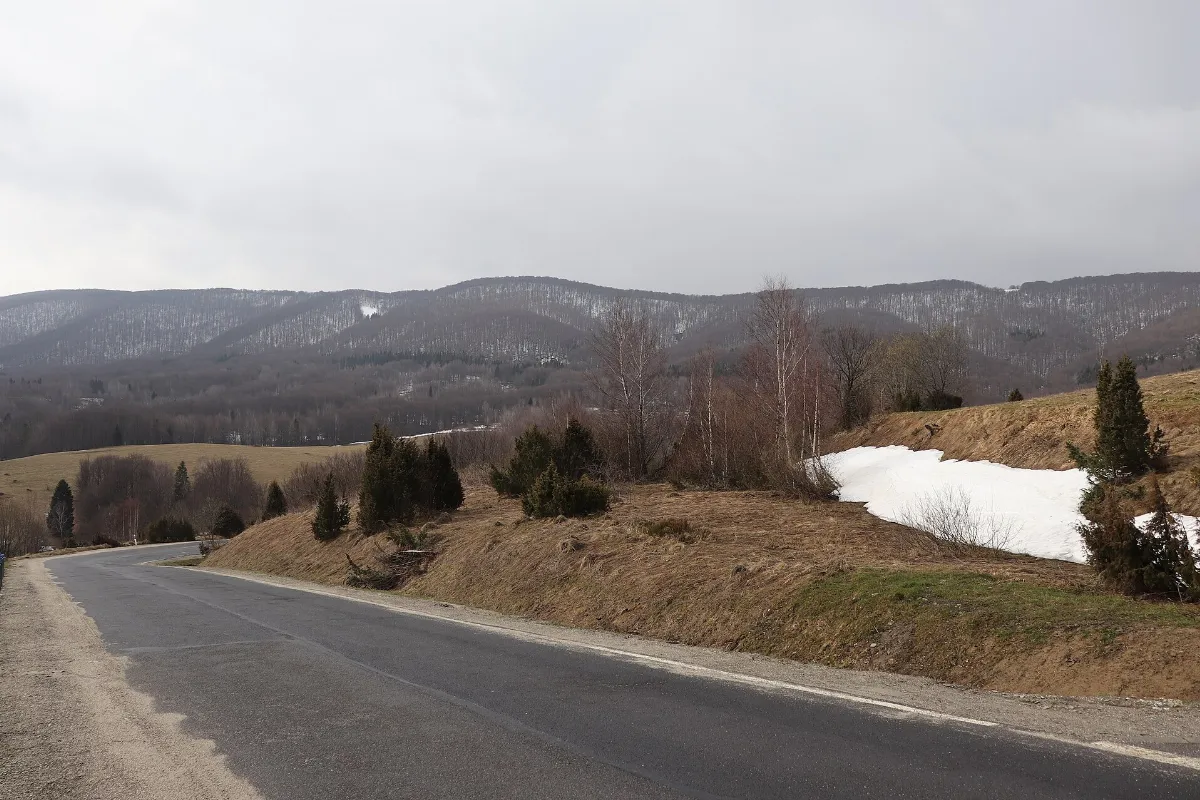 Brzegi Grn widok na Dzial