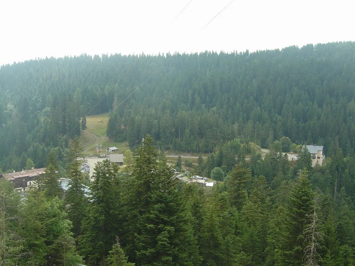 Col de Turini 06- Since Camp d'Argent road
