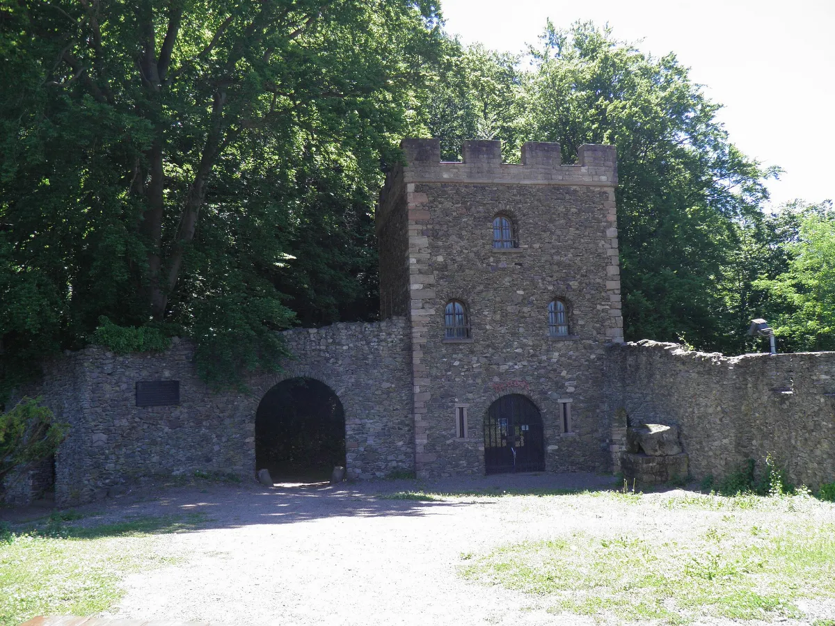 Château (Schirmeck) (2)