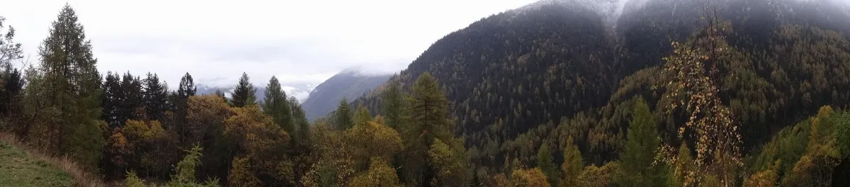 Alps Panorama