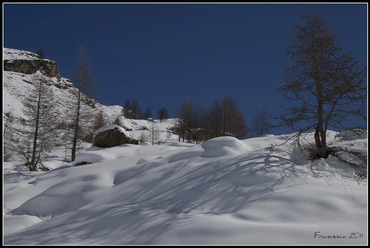 Colle del Nivolet