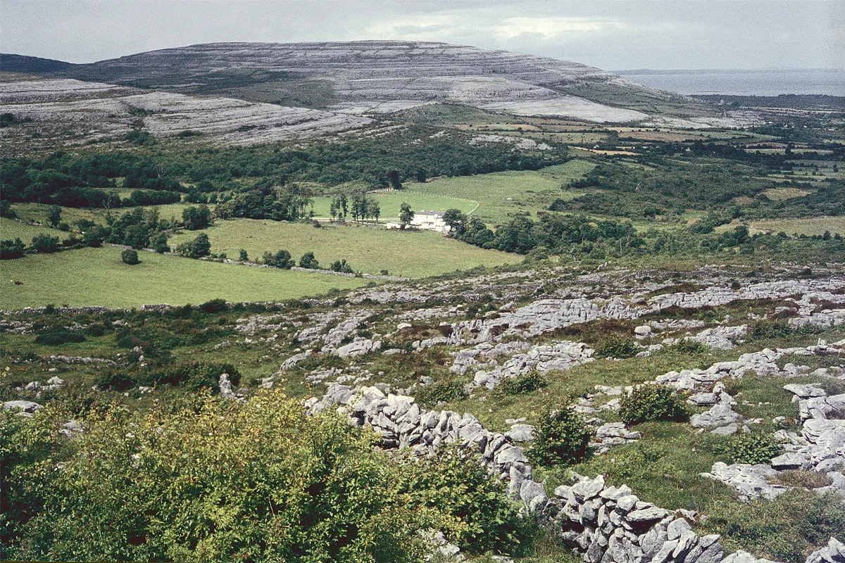 Limestone landscape in The Burren, Co Clare, Ireland - geograph.org.uk - 7687735