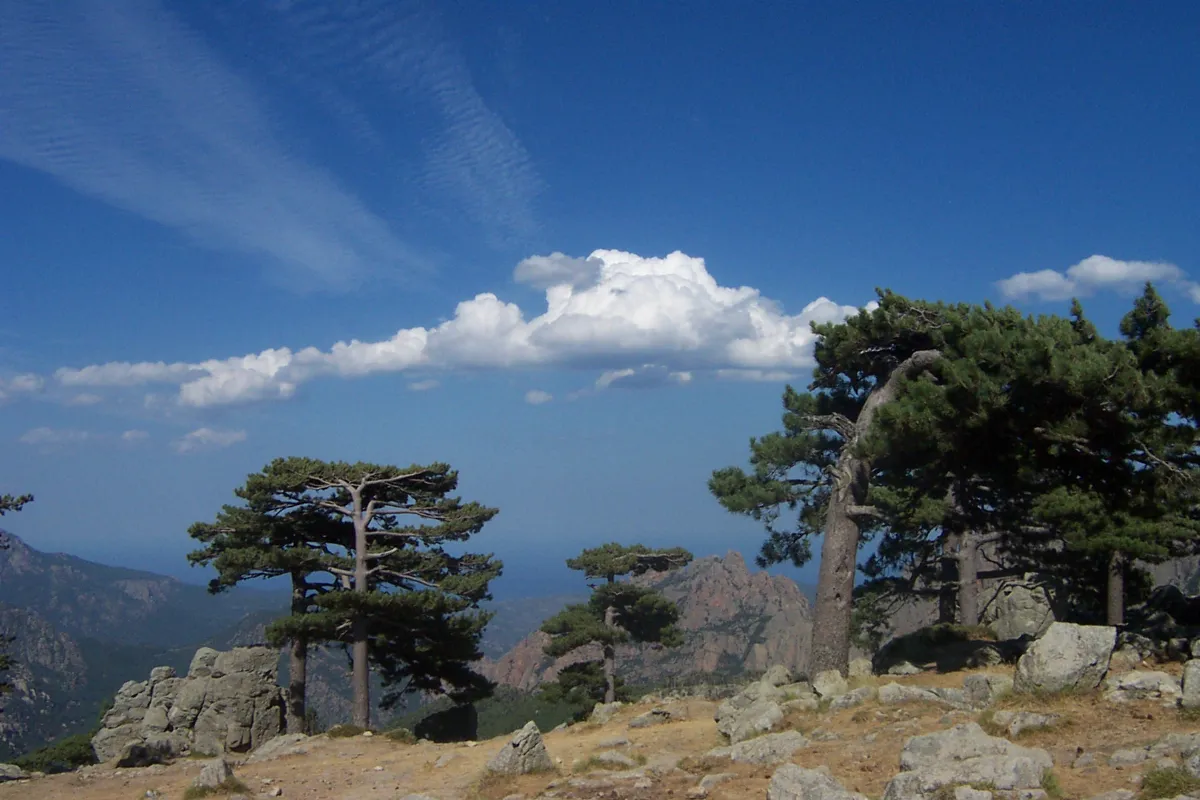 Col de Bavella