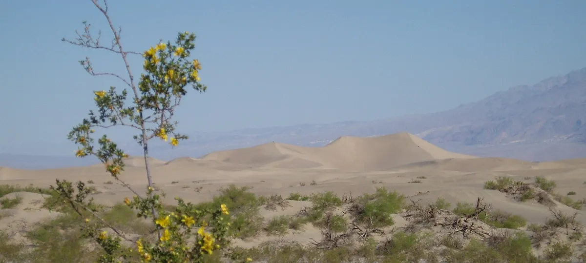 Stovepipe Wells Dunes (2341408656)