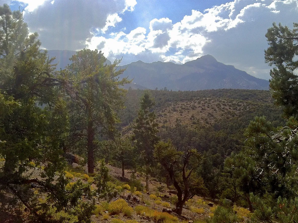 Morning View - panoramio