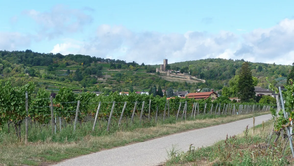 German Wine Route
