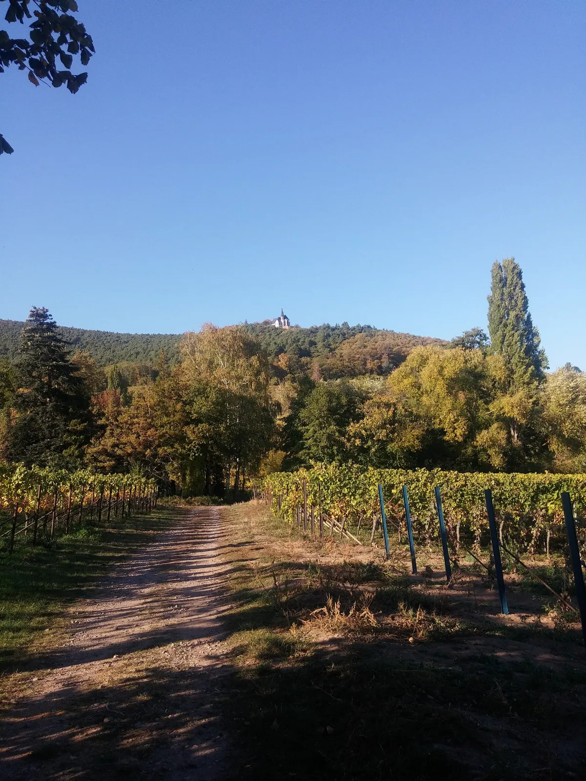 Presso Gleisweiler