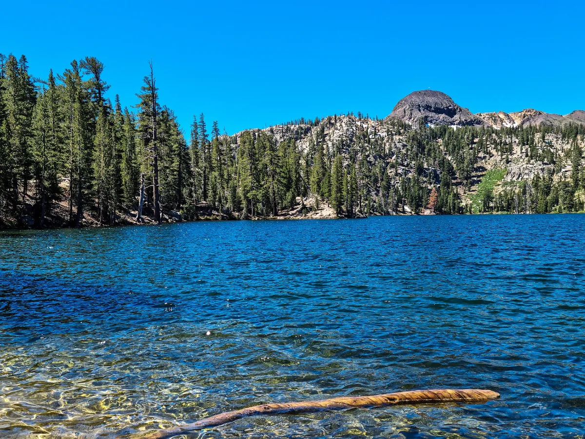 Ebbetts Pass