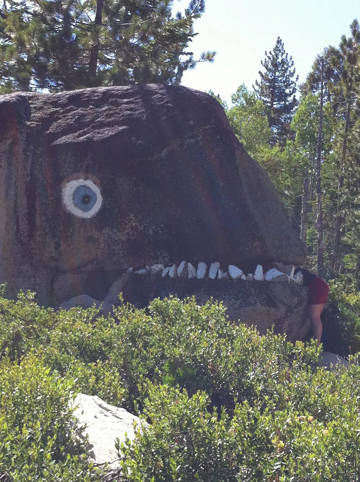 Roadside art, Ebbetts Pass Scenic Byway