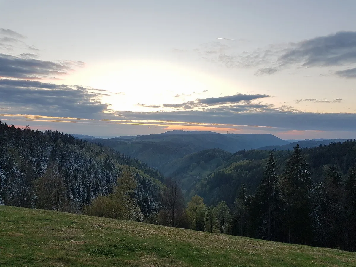 Blick ueber wildgutach in Richtung Platte Kandel