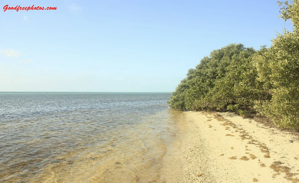 Shoreline-at-long-key.jpg - panoramio