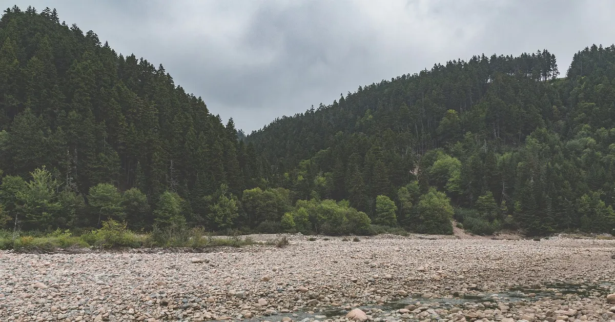 Fundy Trail Parkway