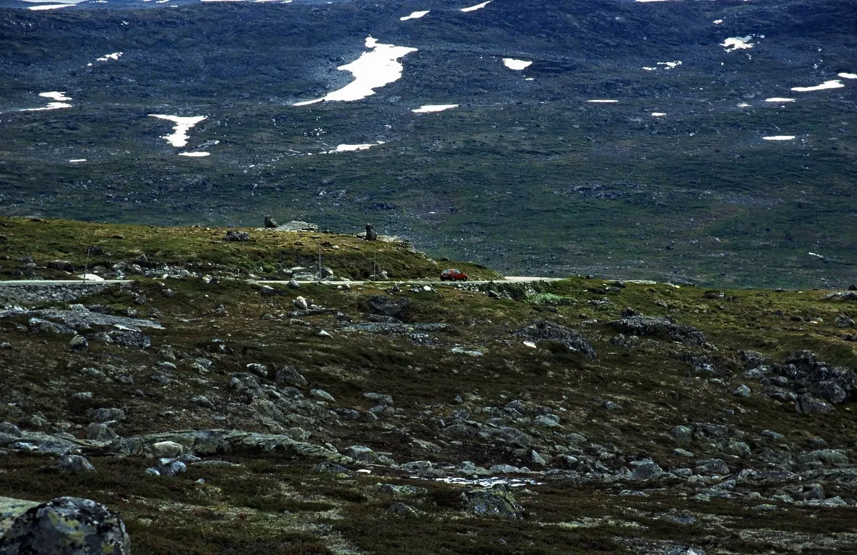 Norwegen 1998 (295) Strynefell (46533520594)
