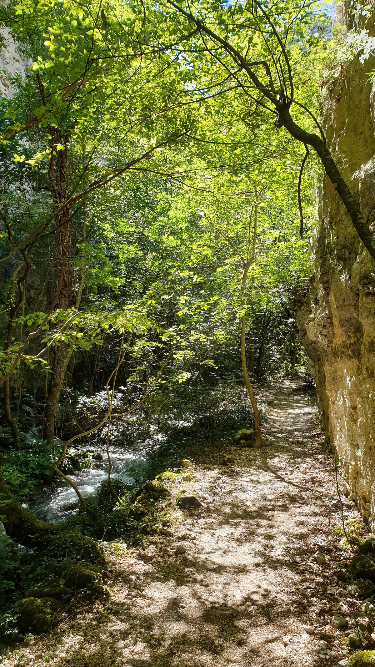 Gole del Sagittario 08