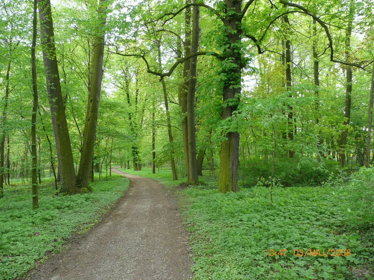 Park w Strzelcach Opolskich - panoramio
