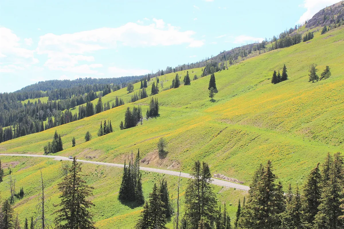 Dunraven Pass, Yellowstone NP - panoramio - Aaron Zhu