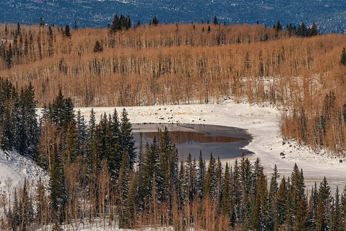 Freezing Pond on the Grand Mesa Scenic Byway - Colorado in Winter (52745315862)