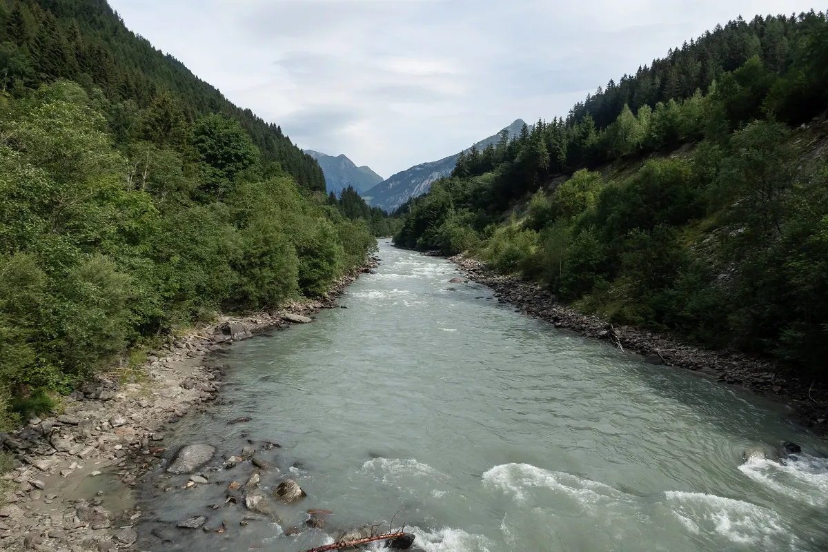 Feld, de Isel IMG 1472 2019-08-07 10.39
