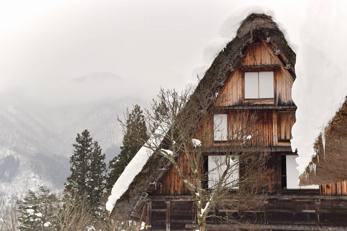 Traditional Shirakawa-go houses (51814495022)