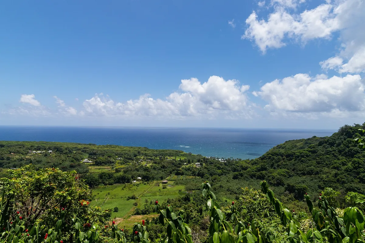 Road to Hana Lookout Maui (45740989011)